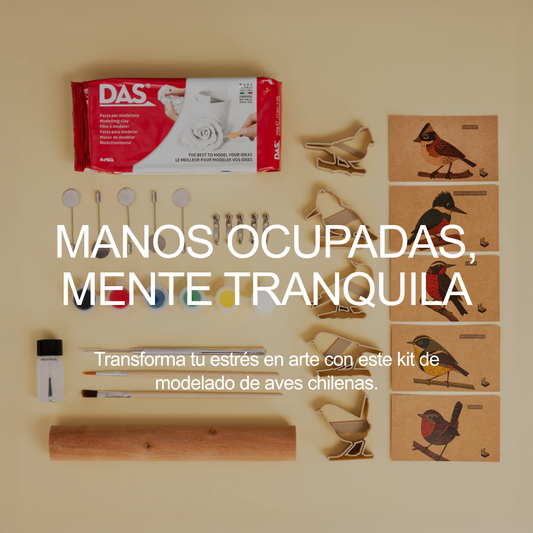 Kit de prendedores de pájaro chileno