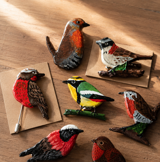 Kit de prendedores de aves