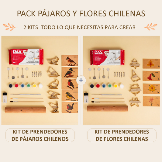 Pack Pájaros y Flores Chilenas