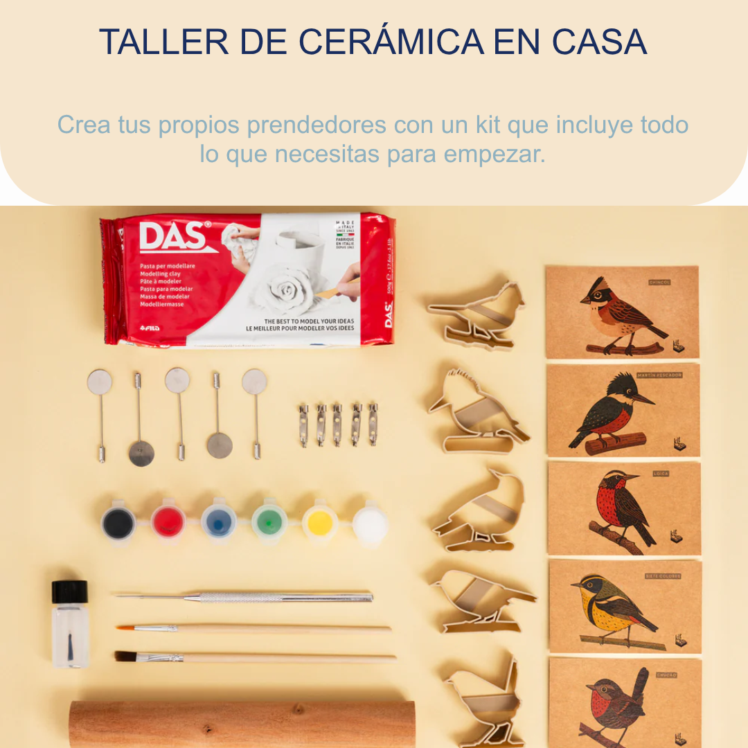Kit de prendedores de pájaro chileno